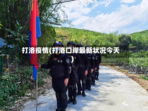打洛疫情(打洛口岸最新状况今天)