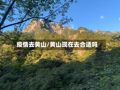 疫情去黄山/黄山现在去合适吗-第2张图片