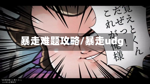 暴走难题攻略/暴走udg