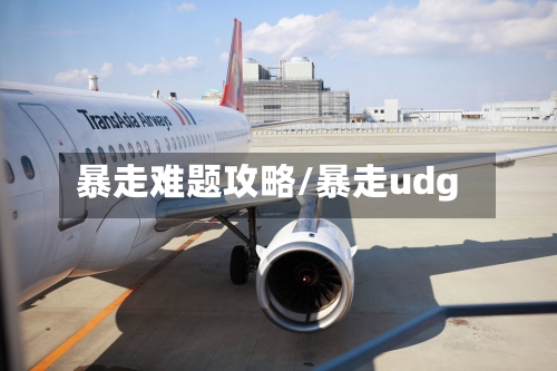 暴走难题攻略/暴走udg-第2张图片