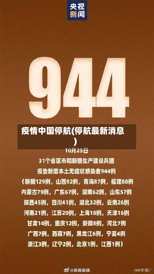疫情中国停航(停航最新消息)-第2张图片