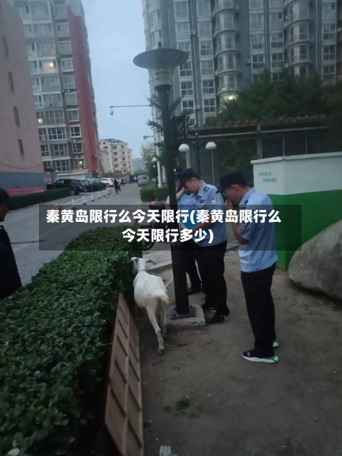 秦黄岛限行么今天限行(秦黄岛限行么今天限行多少)