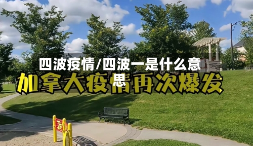 四波疫情/四波一是什么意思-第2张图片