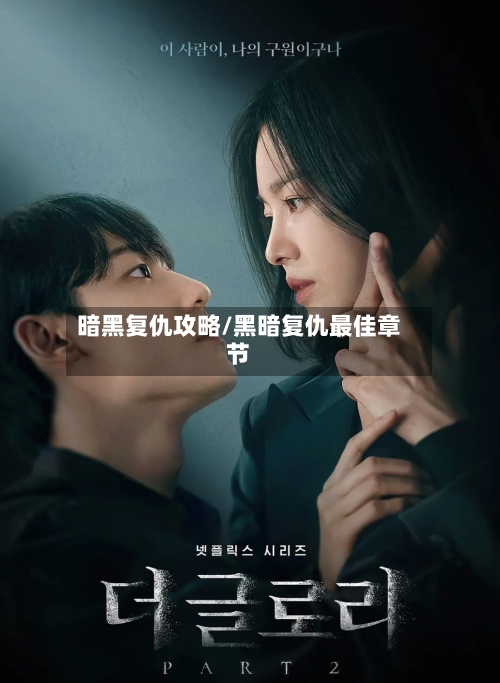 暗黑复仇攻略/黑暗复仇最佳章节