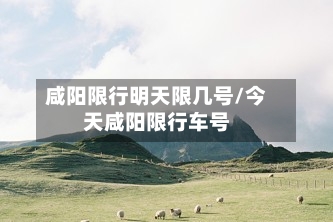 咸阳限行明天限几号/今天咸阳限行车号