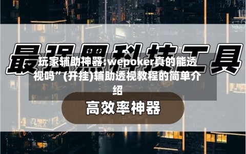玩家辅助神器:wepoker真的能透视吗”(开挂)辅助透视教程的简单介绍-第2张图片