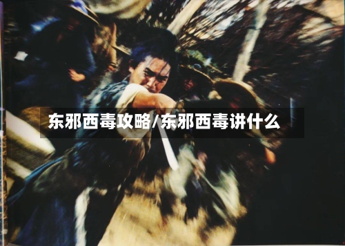 东邪西毒攻略/东邪西毒讲什么-第3张图片