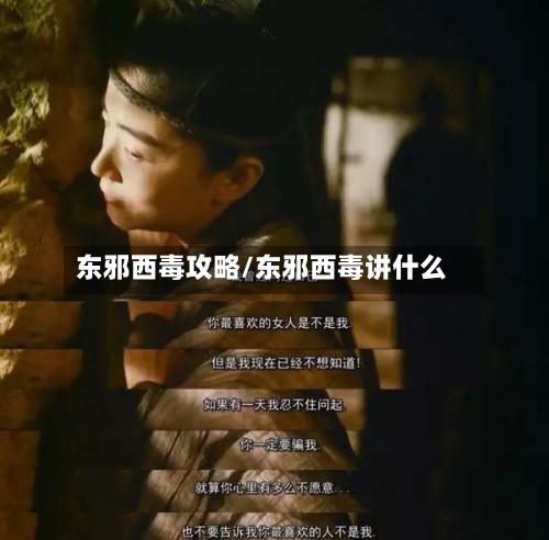 东邪西毒攻略/东邪西毒讲什么-第2张图片