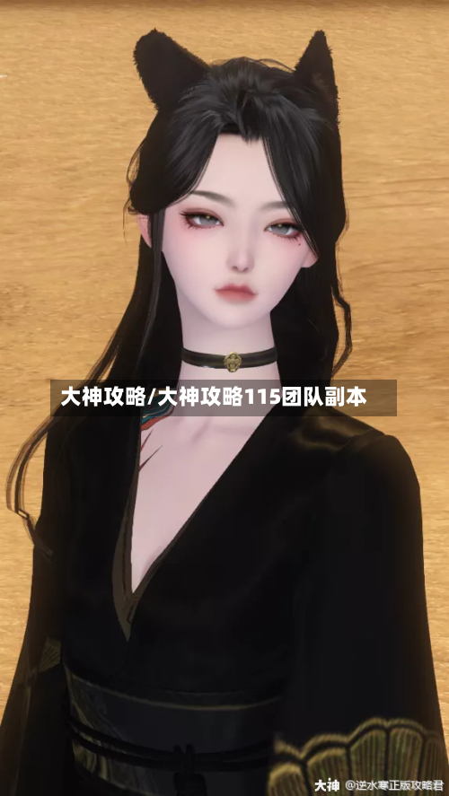 大神攻略/大神攻略115团队副本