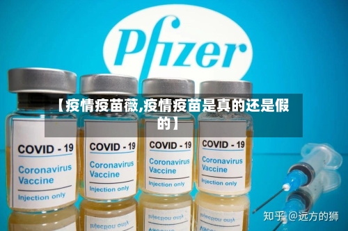 【疫情疫苗薇,疫情疫苗是真的还是假的】-第3张图片