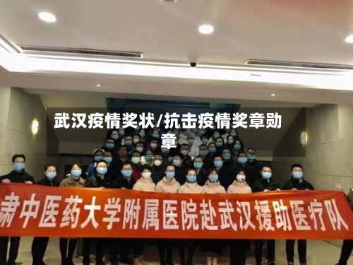 武汉疫情奖状/抗击疫情奖章勋章-第2张图片