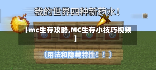【mc生存攻略,MC生存小技巧视频】-第2张图片