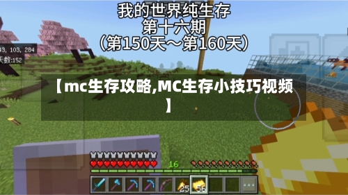 【mc生存攻略,MC生存小技巧视频】-第3张图片