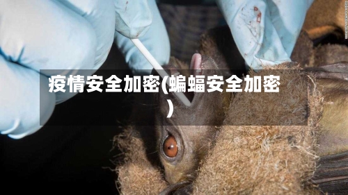 疫情安全加密(蝙蝠安全加密)