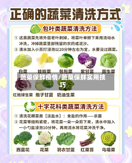 蔬菜保鲜疫情/蔬菜保鲜实用技巧