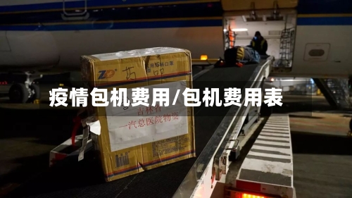 疫情包机费用/包机费用表