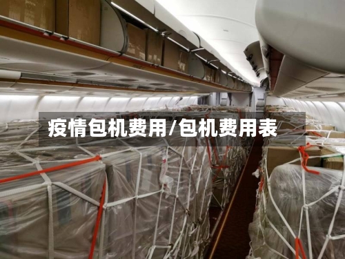 疫情包机费用/包机费用表-第2张图片
