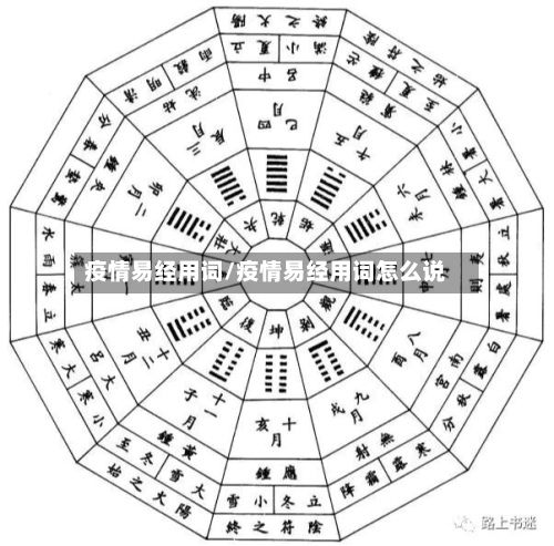 疫情易经用词/疫情易经用词怎么说