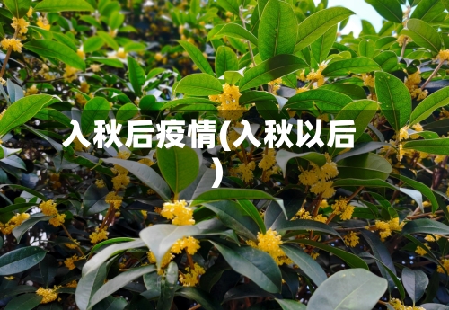 入秋后疫情(入秋以后)-第2张图片