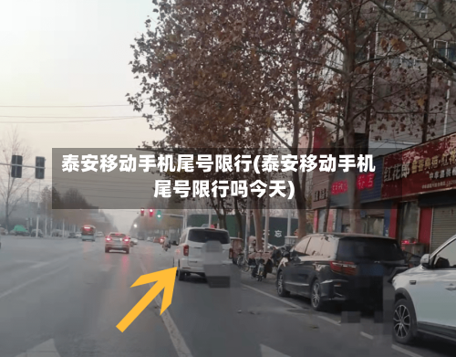 泰安移动手机尾号限行(泰安移动手机尾号限行吗今天)-第2张图片