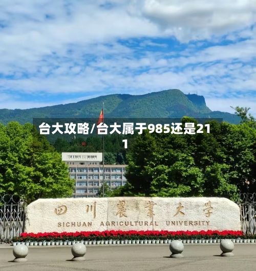 台大攻略/台大属于985还是211