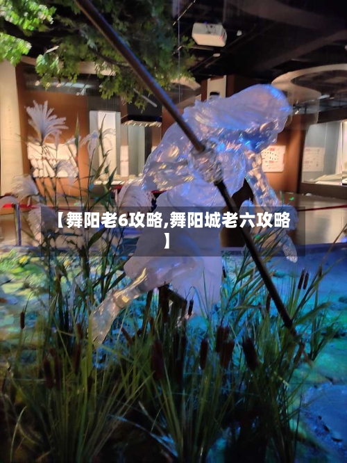 【舞阳老6攻略,舞阳城老六攻略】