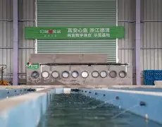 我来教大家“金州水鱼开挂器”(透视)其实确实有挂的简单介绍